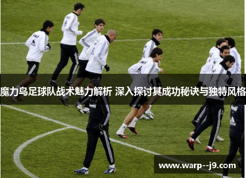 魔力鸟足球队战术魅力解析 深入探讨其成功秘诀与独特风格